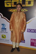 Anang Desai at Gold Awards red carpet in Filmistan, Mumbai on 17th May 2014